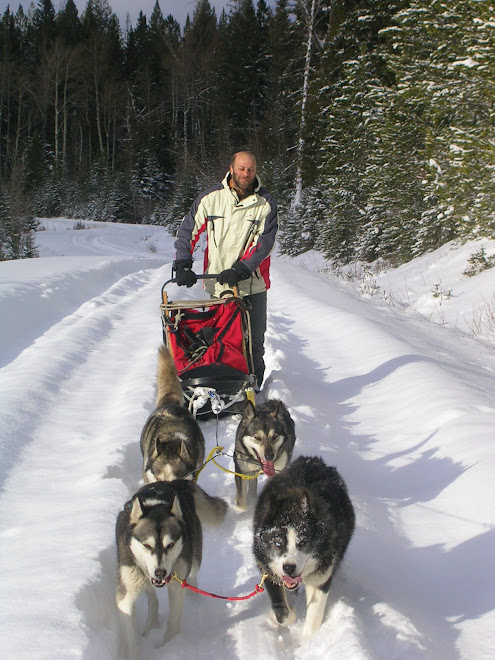 Learn to Drive your own Dogsled