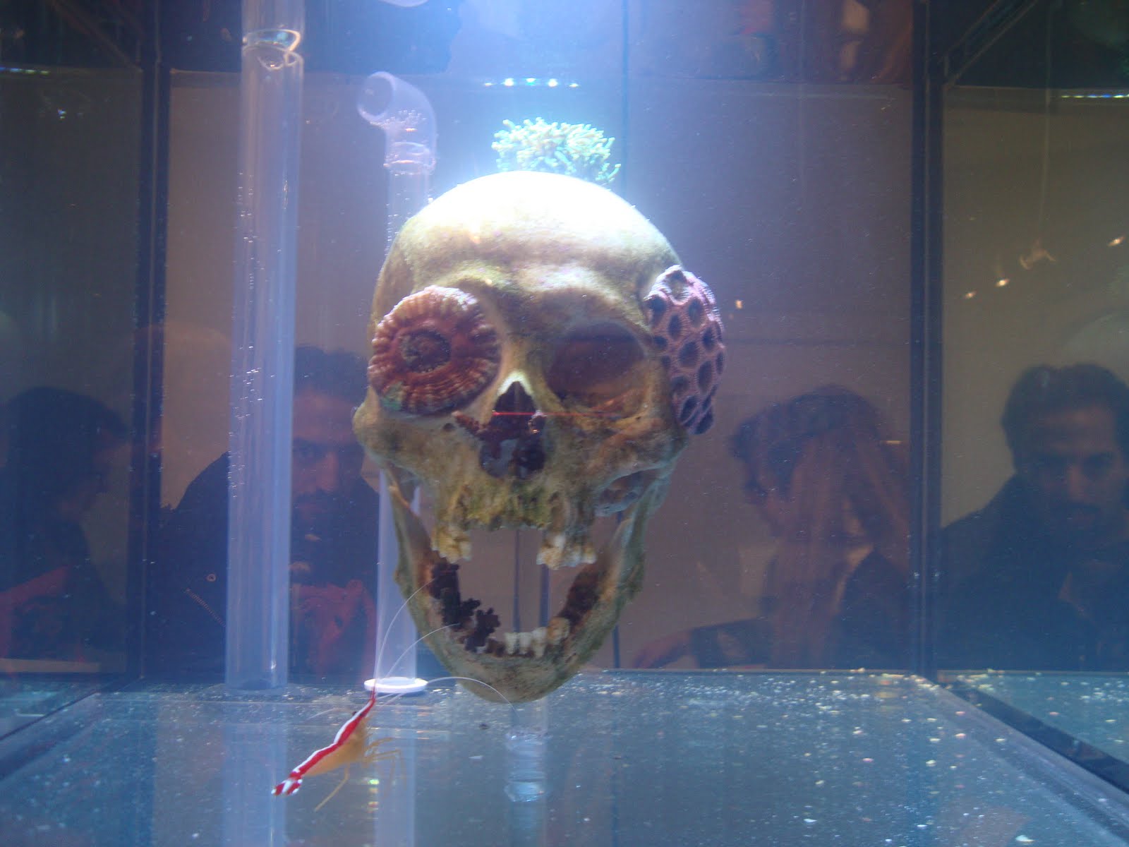 ニューヨーク アート ジャーナル 10 03 28 10 04 04