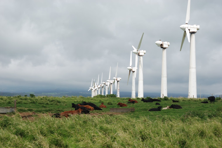 WINDMILLS