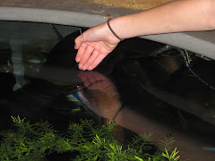 Me patting a eel onn the back