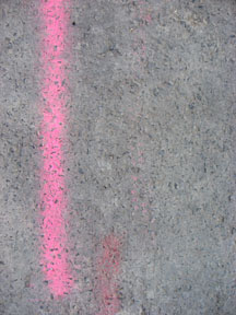 Photo Thumbnail