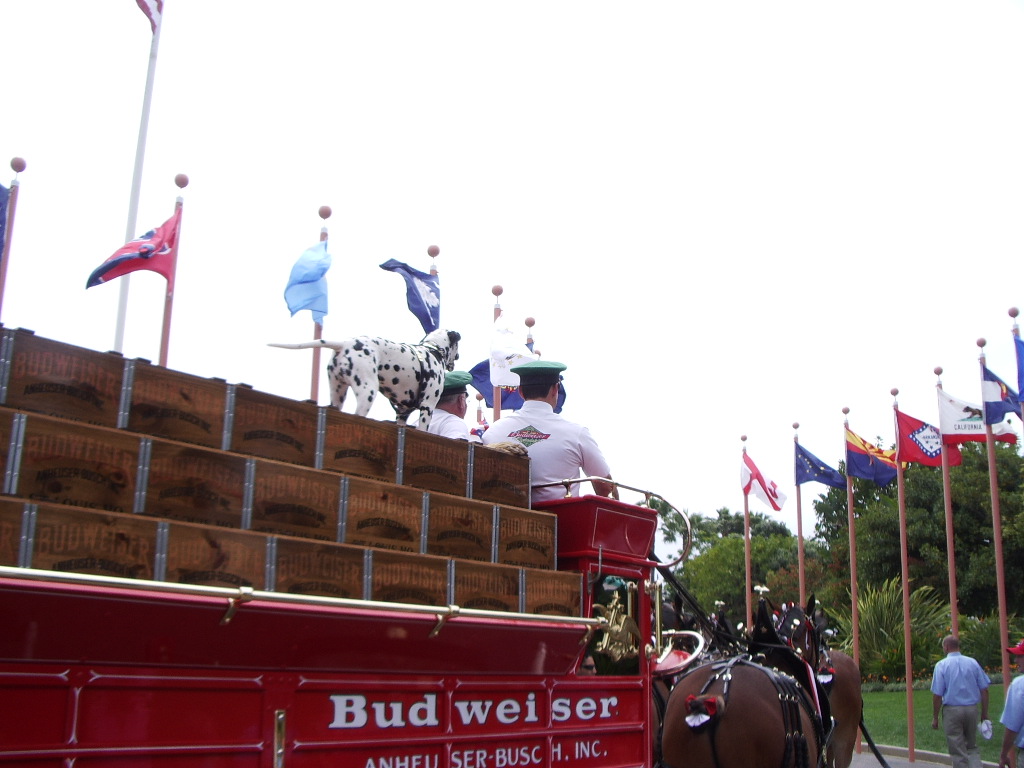 [IMGP0729.JPG]