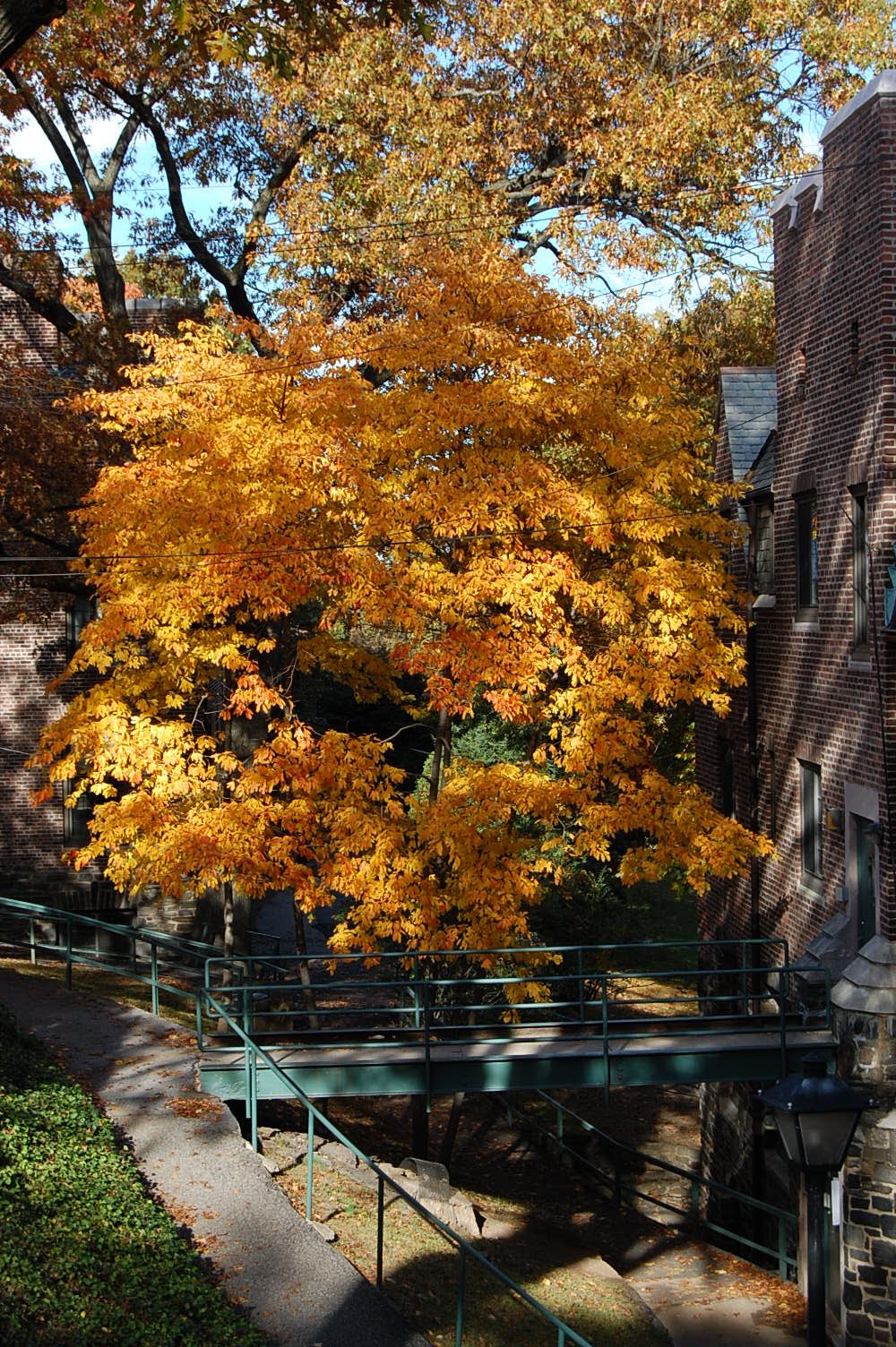 [DSC_0004.JPG]