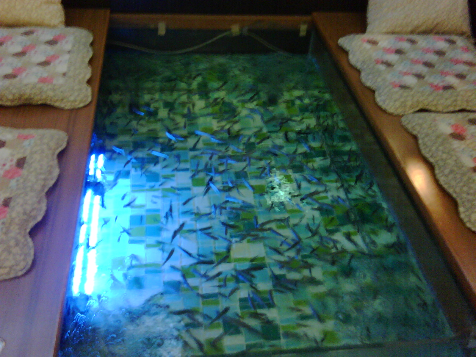 A N A R I N .ca herbal skin care tips Fish Spa