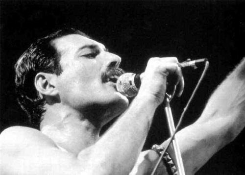 freddie mercury freddie mercury