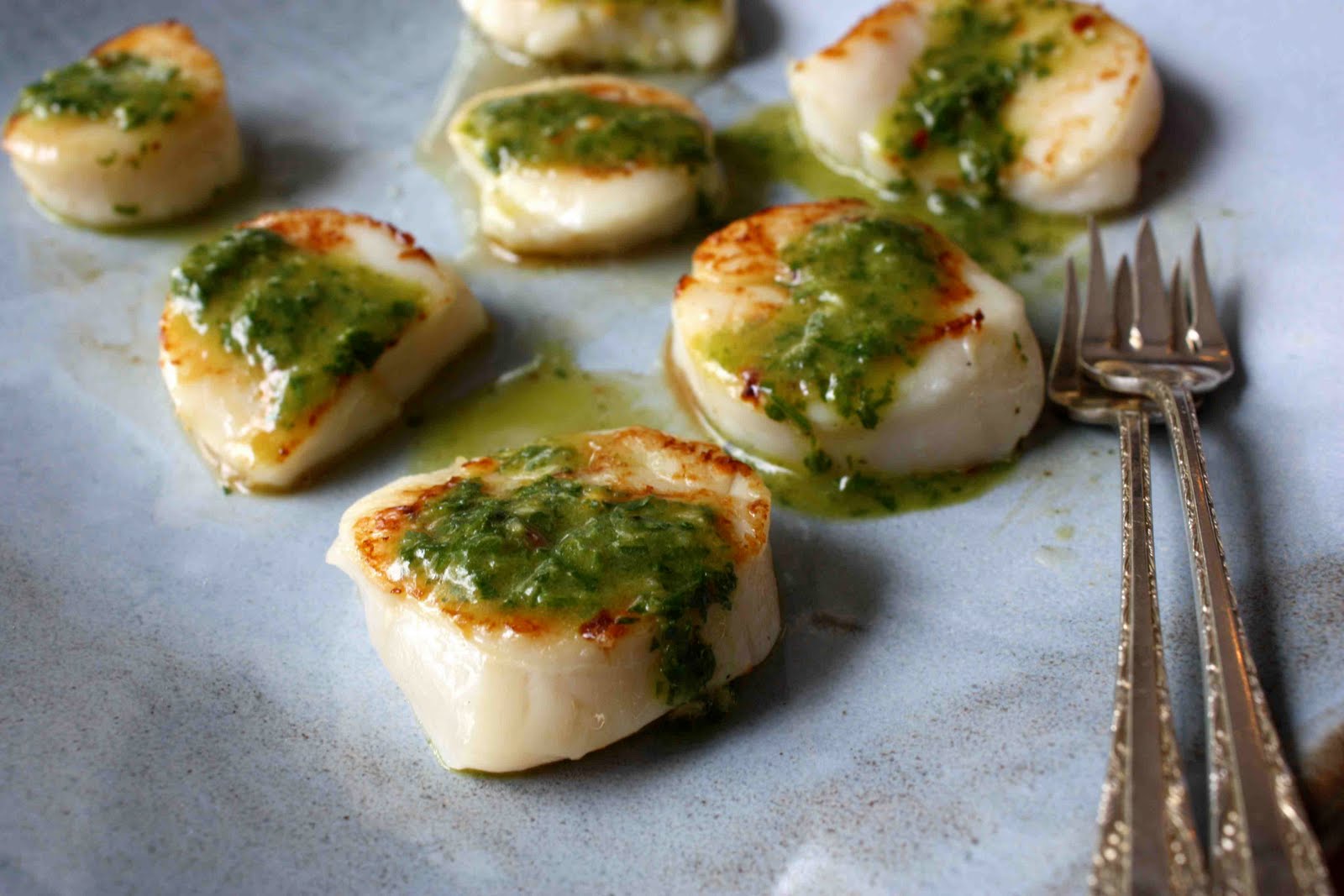 Scallop Recipes