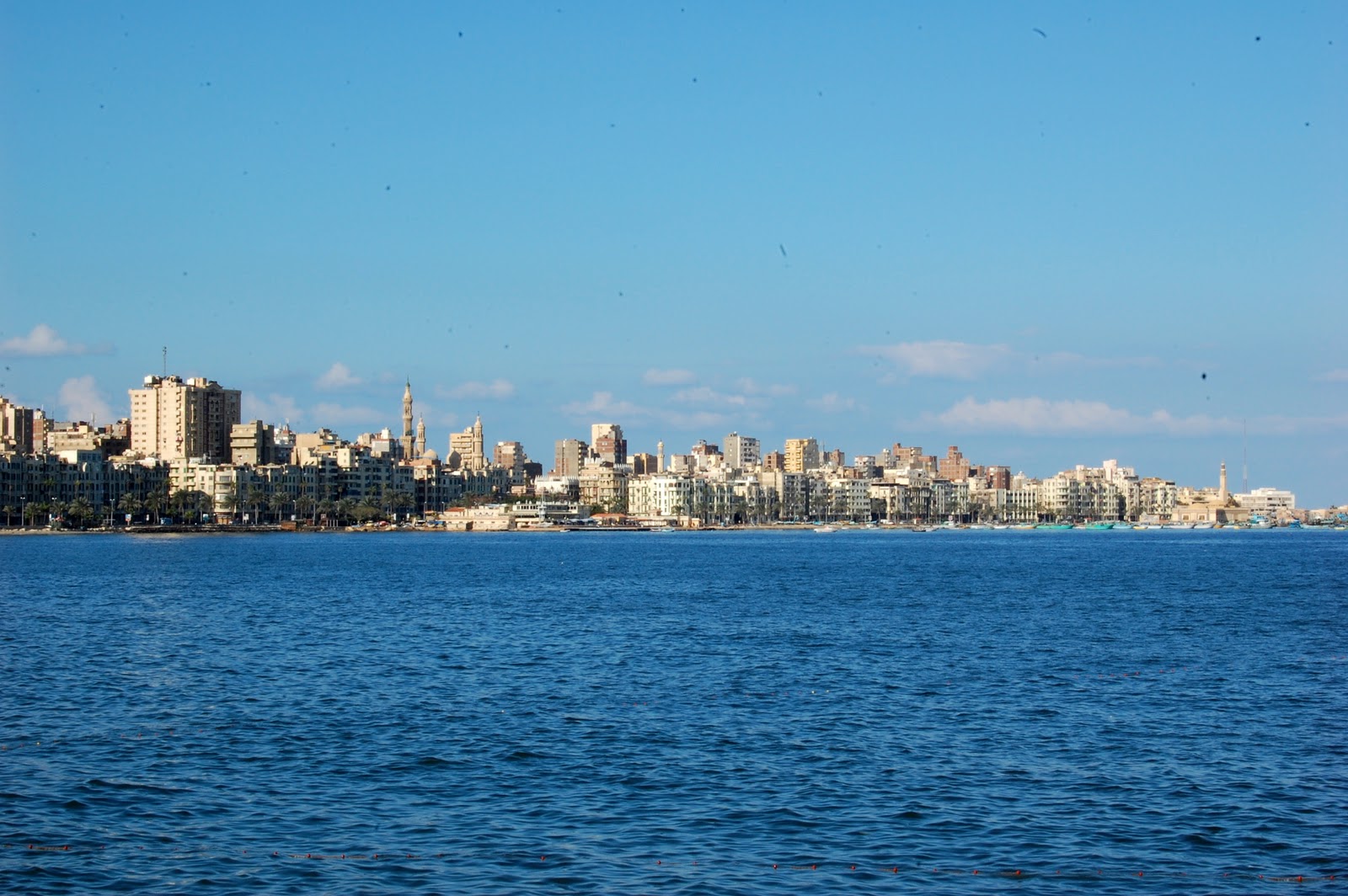 Alexandria City