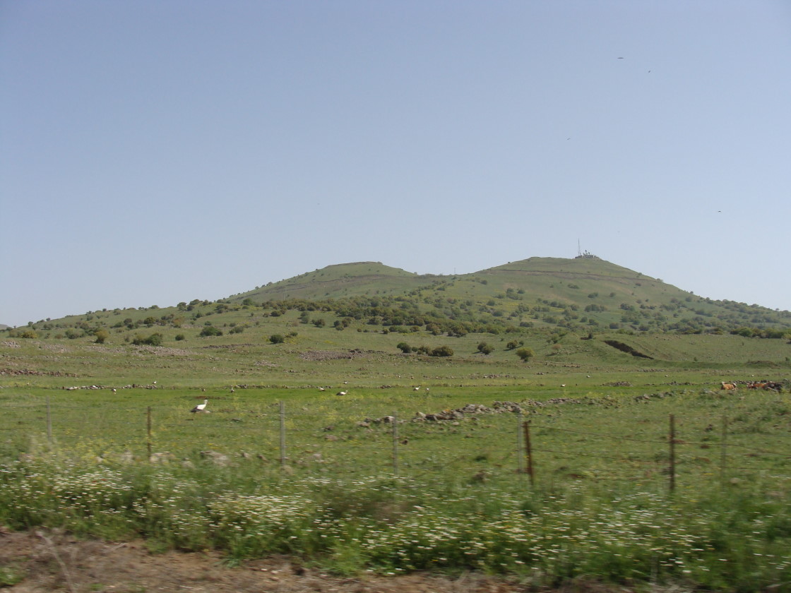 [DSC01252.jpg]
