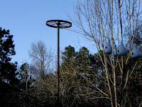 Purple Martin first home at Rocky Mount