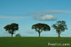 FreeFoto.com