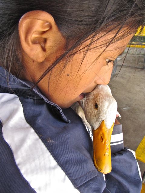 [IMG_4796.jpg]