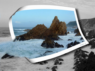 Idealistic Image Editing