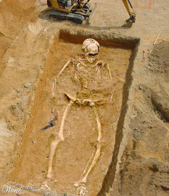 Giant Skeletons