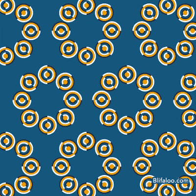 Spins Illusion Spins Optical Illusion
