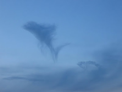 Dolphin at play in clouds Dolphin at Sky Illusion