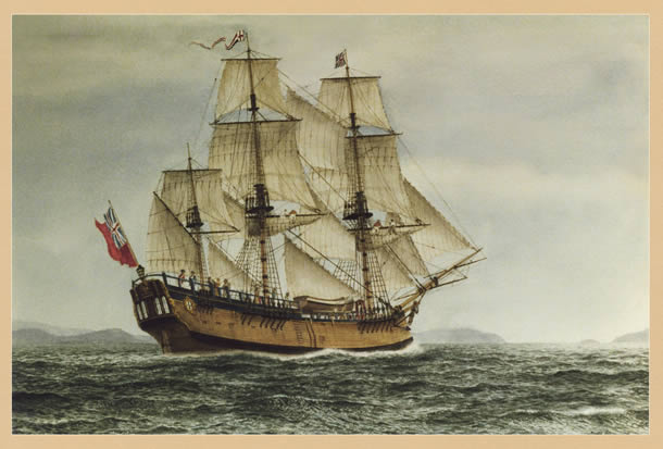 Bark Endeavour