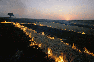 © National Geographic Society (Photograph by James P. Blair)