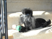 Bridgett 2008