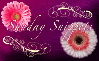 Sunday Snippets #13