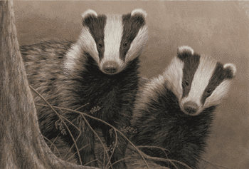 [badgers-at-twilight-lrge.gif]