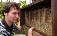 [Nestboxes.JPG]