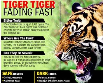 SATEESH NARASIMHAIAH: SAVE TIGER