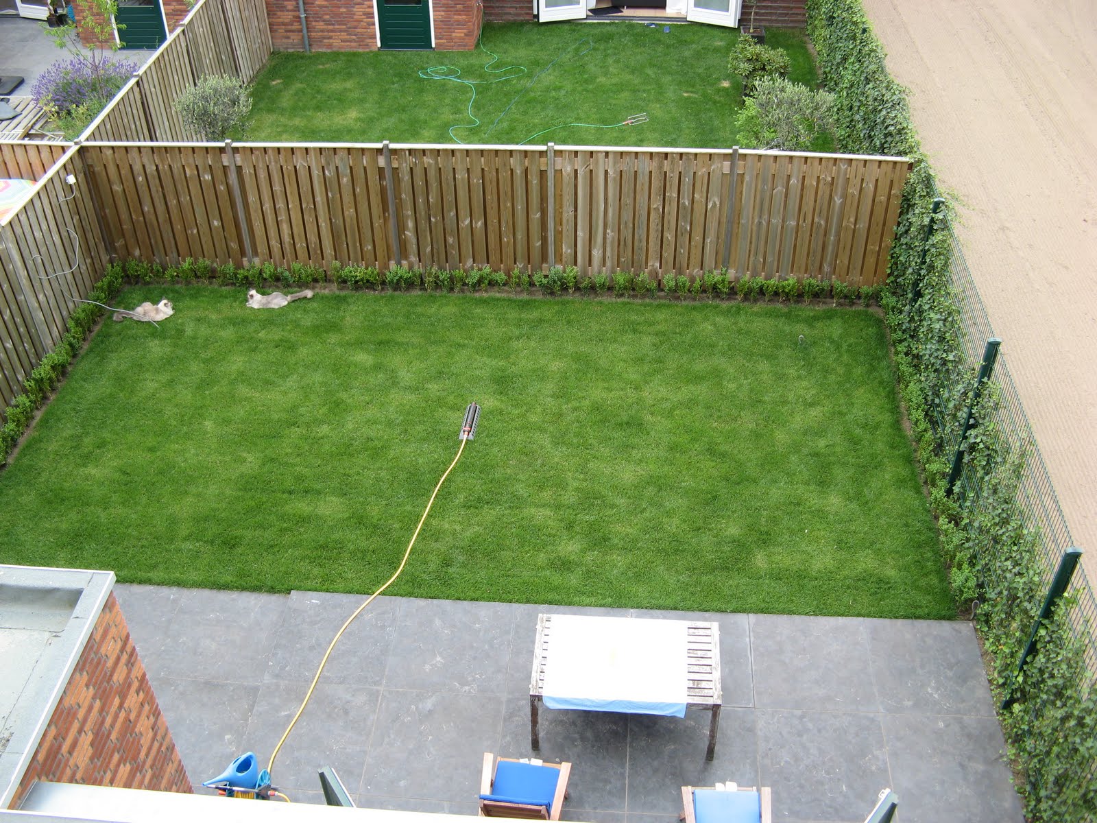 Dri na Holanda O jardim ( nem o antes, nem o depois, ainda estamos Dri na Holanda O jardim ( nem o antes, nem o depois, ainda estamos