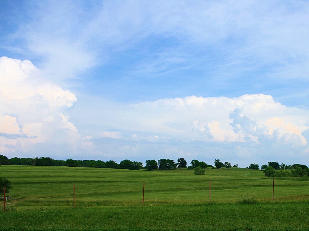 [3604934423_e9be685aaf_b.jpg]