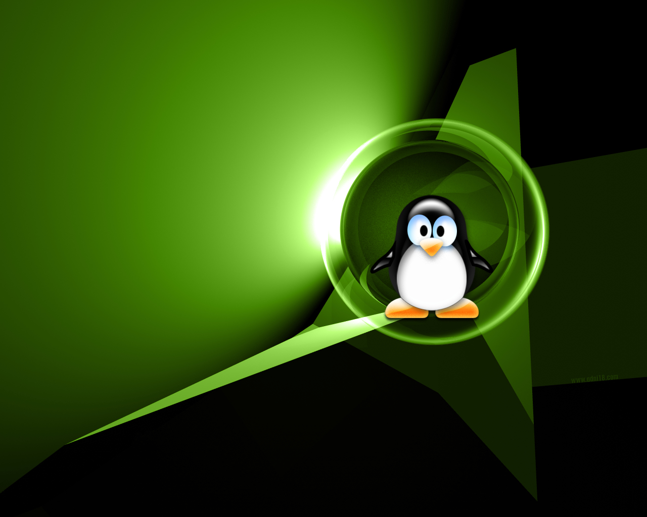 [adni18_linux_202.jpg]