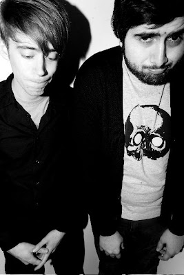 Digitalism Idealism Download Rar