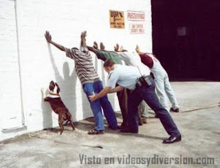 Perro contra la pared