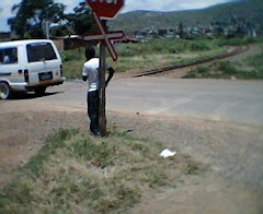 The Rails OF Dambuza