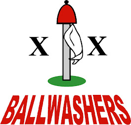 Ballwasher Logo