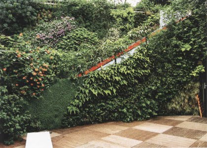 [Landscape+designer+Kensignton__01.jpg]