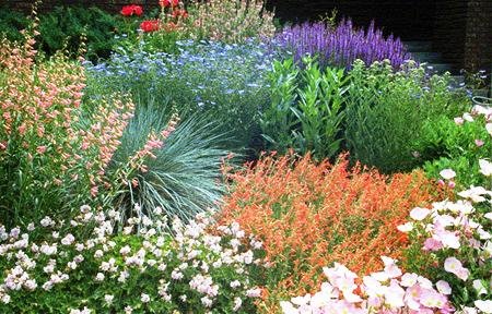 [xeriscape.jpg]