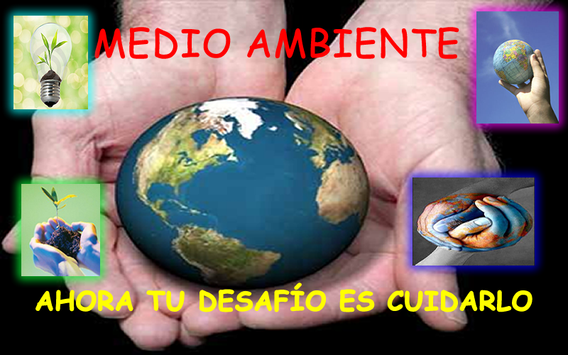 espacio que busca fomentar la reflexión sobre temas de medio ambiente espacio que busca fomentar la reflexión sobre temas de medio ambiente