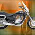 220 CC Bajaj Avenger launched