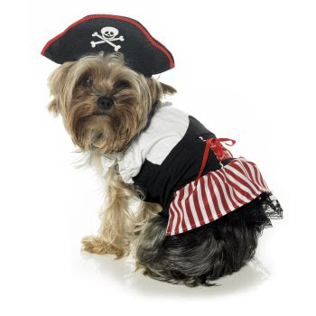 Puppies Outfits
