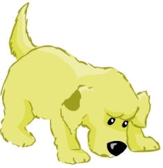 [Jess_foranimation.JPG]