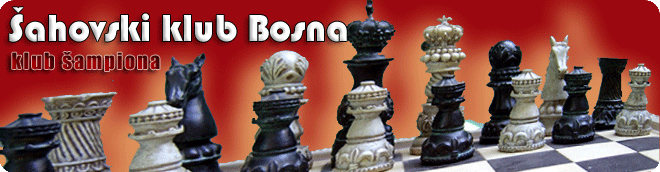 [bosna08.gif]