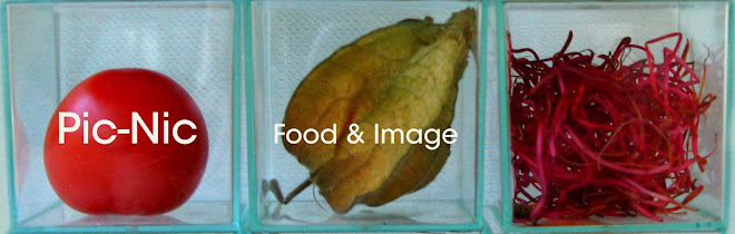 Pic-Nic Food&Image