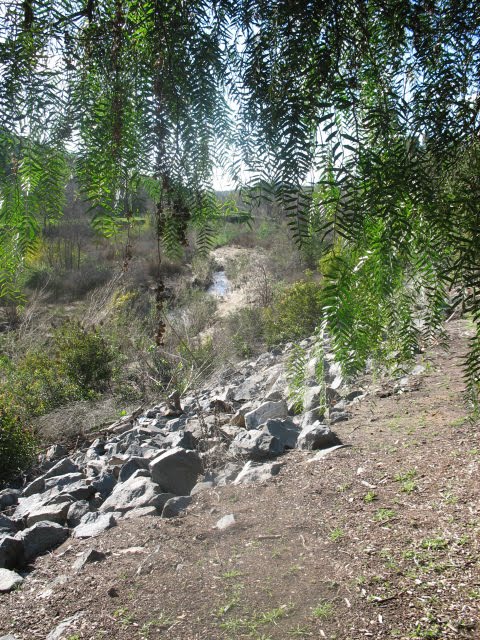 carbon canyon