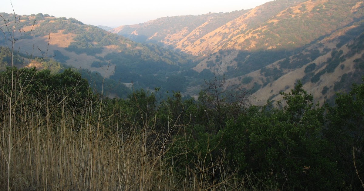 Carbon Canyon Chronicle The Wild[er] West End of Soquel Canyon