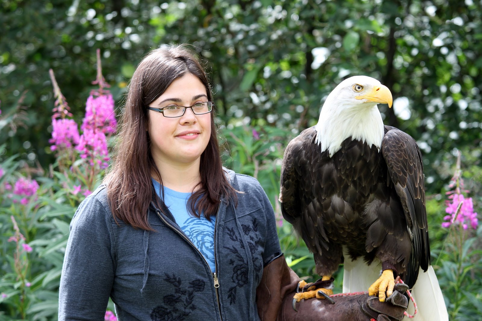 Bird Treatment and Learning Center Training with the bald eagle named