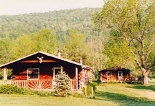 Country Lodge with Cabis in Heart of Forest Prserve