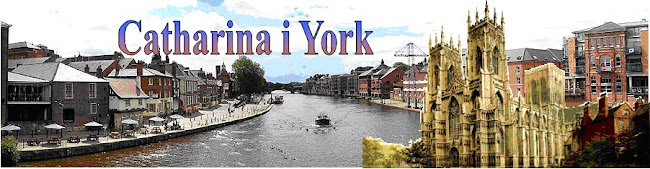 Catharina i York