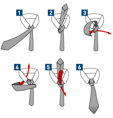 Windsor Knot Diagram