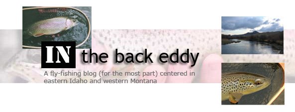 In the Back Eddy