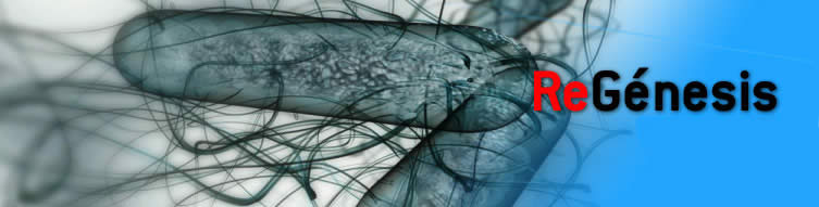 [20081004-regenesis.jpg]