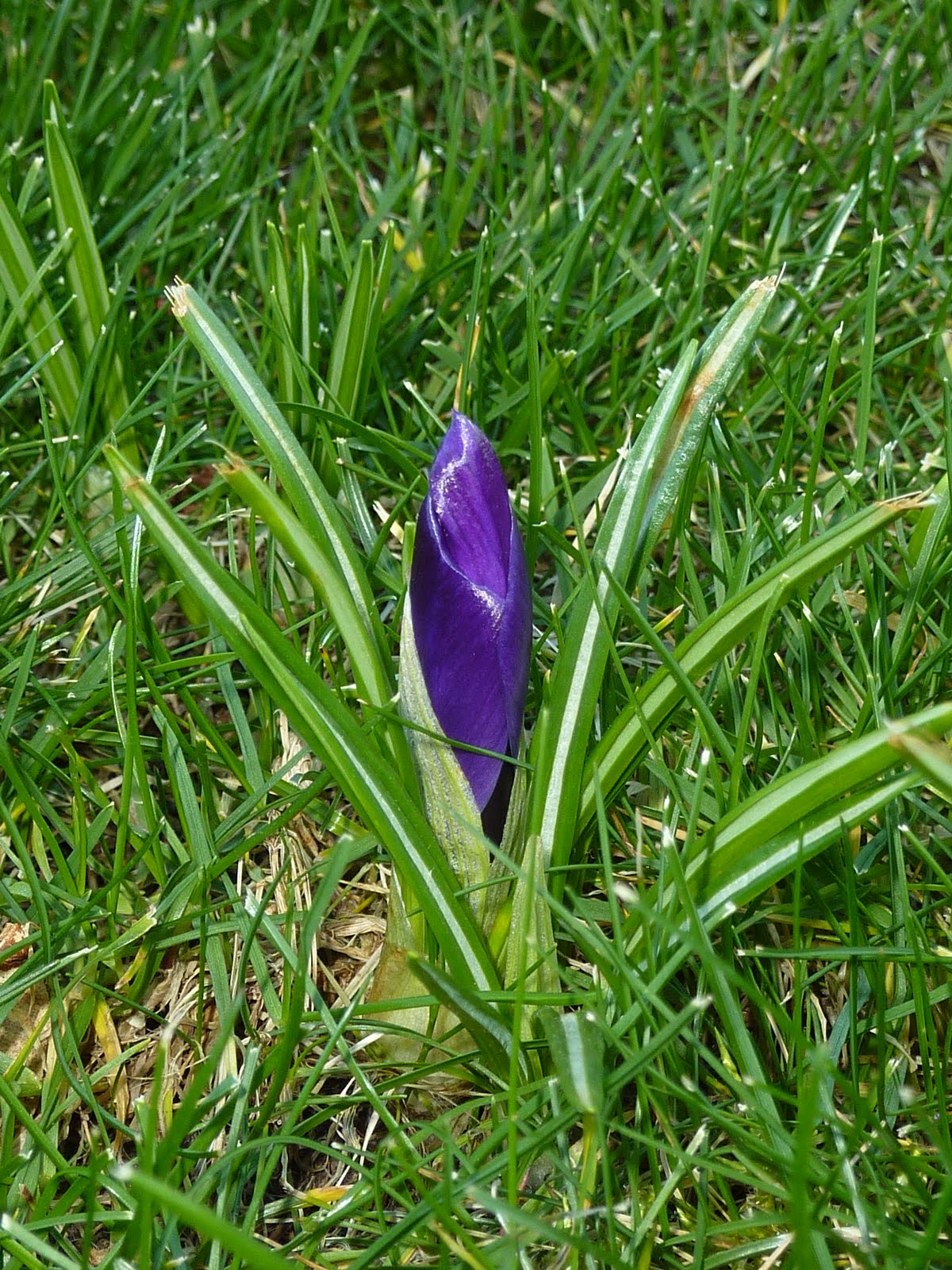 [P1060586.JPG]